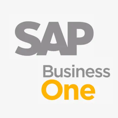 Sap Business One Skytech