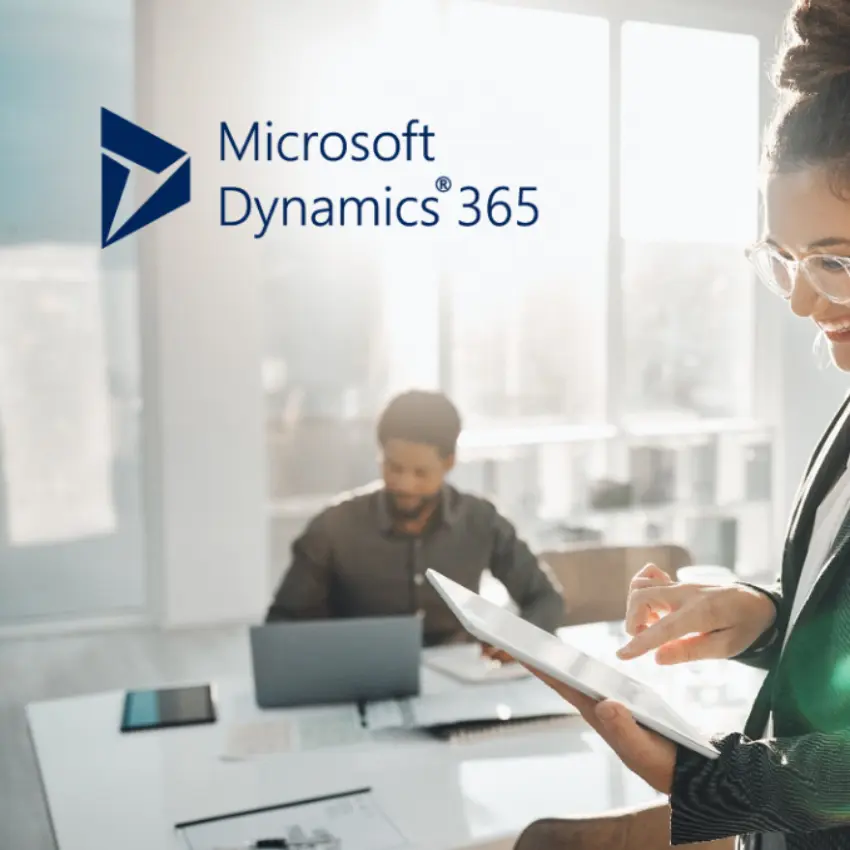 Microsoft Dynamics 365 Skytech